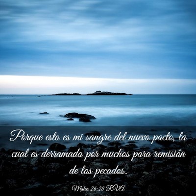 Picture 03 - Mateo 26:28 RVA - Porque esto es mi sangre del nuevo pacto, la cual - Bible Verse Picture