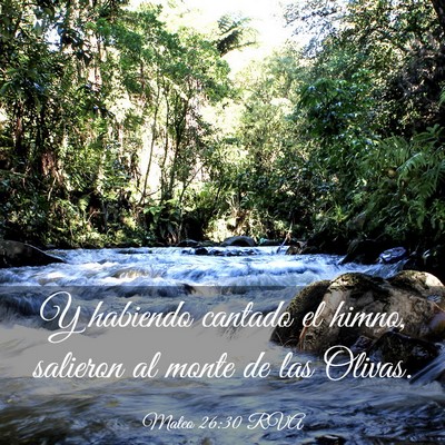 Picture 03 - Mateo 26:30 RVA - Y habiendo cantado el himno, salieron al monte de - Bible Verse Picture