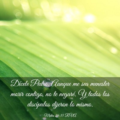 Picture 03 - Mateo 26:35 RVA - Dícele Pedro. Aunque me sea menester morir - Bible Verse Picture