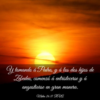 Picture 03 - Mateo 26:37 RVA - Y tomando á Pedro, y á los dos hijos de - Bible Verse Picture