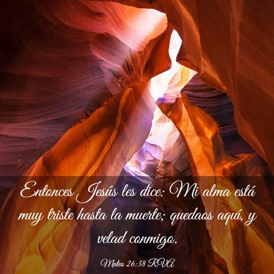 Picture 03 - Mateo 26:38 RVA - Entonces Jesús les dice: Mi alma está muy - Bible Verse Picture