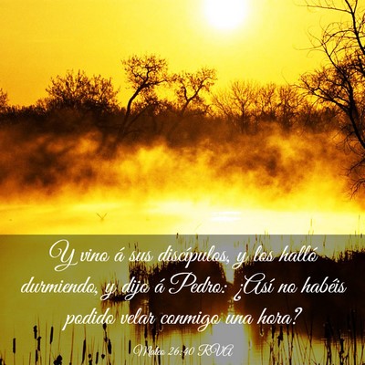 Picture 03 - Mateo 26:40 RVA - Y vino á sus discípulos, y los halló - Bible Verse Picture