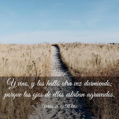 Picture 03 - Mateo 26:43 RVA - Y vino, y los halló otra vez durmiendo; porque - Bible Verse Picture