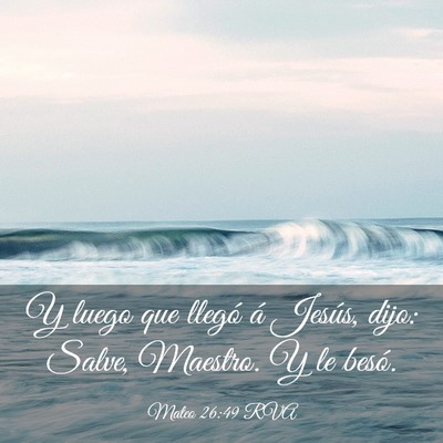 Picture 03 - Mateo 26:49 RVA - Y luego que llegó á Jesús, dijo: Salve, - Bible Verse Picture