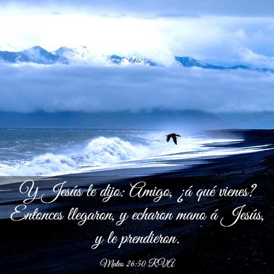 Picture 03 - Mateo 26:50 RVA - Y Jesús le dijo: Amigo, ¿á qué vienes? - Bible Verse Picture