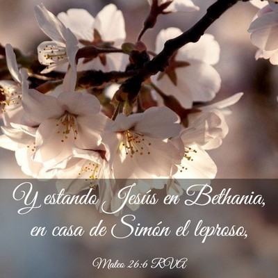 Picture 03 - Mateo 26:6 RVA - Y estando Jesús en Bethania, en casa de Simón - Bible Verse Picture