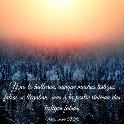 Picture 03 - Mateo 26:60 RVA - Y no lo hallaron, aunque muchos testigos falsos - Bible Verse Picture