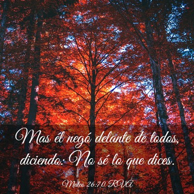 Picture 03 - Mateo 26:70 RVA - Mas él negó delante de todos, diciendo: No sé - Bible Verse Picture