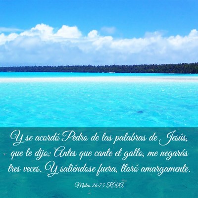 Picture 03 - Mateo 26:75 RVA - Y se acordó Pedro de las palabras de Jesús, que - Bible Verse Picture