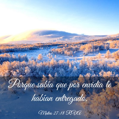 Picture 03 - Mateo 27:18 RVA - Porque sabía que por envidia le habían - Bible Verse Picture