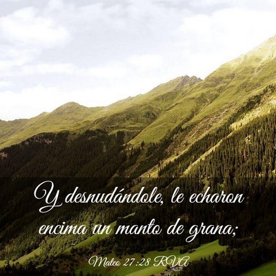 Picture 03 - Mateo 27:28 RVA - Y desnudándole, le echaron encima un manto de - Bible Verse Picture
