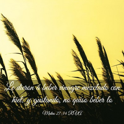 Picture 03 - Mateo 27:34 RVA - Le dieron á beber vinagre mezclado con hiel: y - Bible Verse Picture