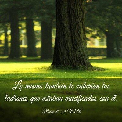 Picture 03 - Mateo 27:44 RVA - Lo mismo también le zaherían los ladrones que - Bible Verse Picture