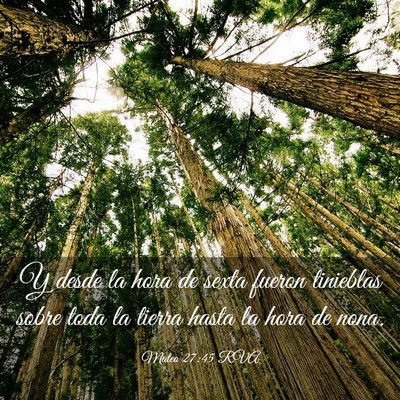 Picture 03 - Mateo 27:45 RVA - Y desde la hora de sexta fueron tinieblas sobre - Bible Verse Picture