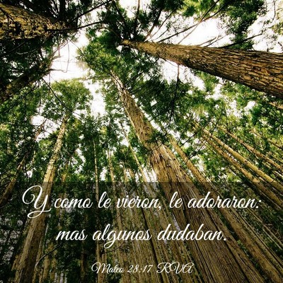 Picture 03 - Mateo 28:17 RVA - Y como le vieron, le adoraron: mas algunos - Bible Verse Picture