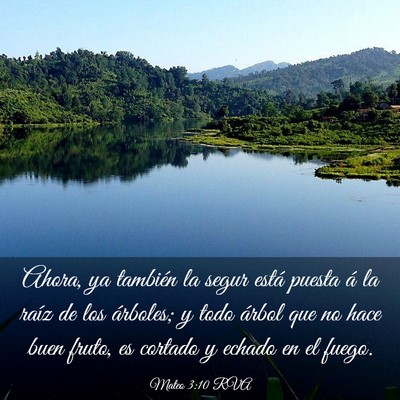 Picture 03 - Mateo 3:10 RVA - Ahora, ya también la segur está puesta á la - Bible Verse Picture