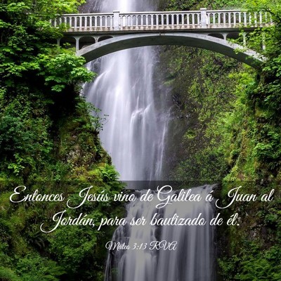 Picture 03 - Mateo 3:13 RVA - Entonces Jesús vino de Galilea á Juan al - Bible Verse Picture