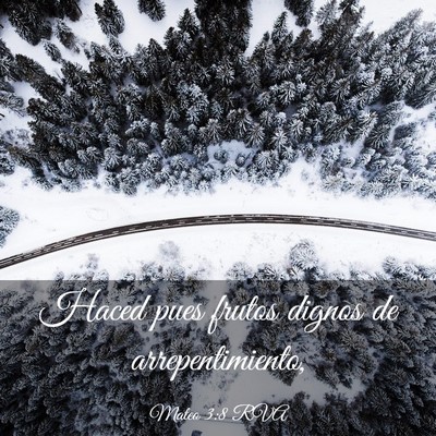 Picture 03 - Mateo 3:8 RVA - Haced pues frutos dignos de - Bible Verse Picture