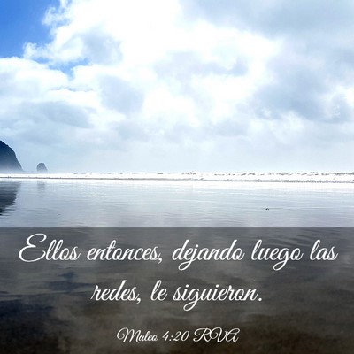Picture 03 - Mateo 4:20 RVA - Ellos entonces, dejando luego las redes, le - Bible Verse Picture