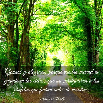 Picture 03 - Mateo 5:12 RVA - Gozaos y alegraos; porque vuestra merced es - Bible Verse Picture