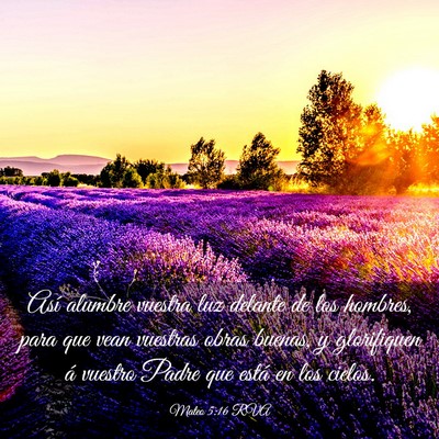 Picture 03 - Mateo 5:16 RVA - Así alumbre vuestra luz delante de los hombres, - Bible Verse Picture
