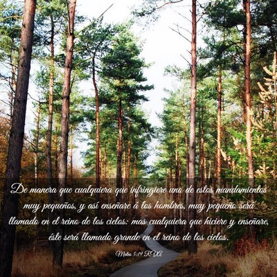 Picture 03 - Mateo 5:19 RVA - De manera que cualquiera que infringiere uno de - Bible Verse Picture