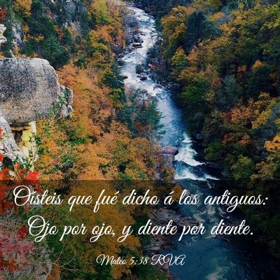 Picture 03 - Mateo 5:38 RVA - Oísteis que fué dicho á los antiguos: Ojo por - Bible Verse Picture