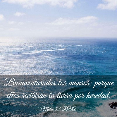 Picture 03 - Mateo 5:5 RVA - Bienaventurados los mansos: porque ellos - Bible Verse Picture