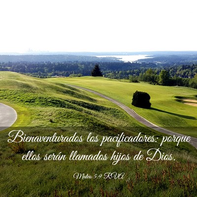 Picture 03 - Mateo 5:9 RVA - Bienaventurados los pacificadores: porque ellos - Bible Verse Picture
