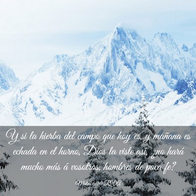 Picture 03 - Mateo 6:30 RVA - Y si la hierba del campo que hoy es, y mañana es - Bible Verse Picture