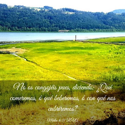 Picture 03 - Mateo 6:31 RVA - No os congojéis pues, diciendo: ¿Qué - Bible Verse Picture