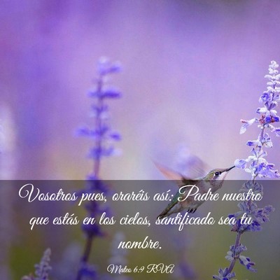Picture 03 - Mateo 6:9 RVA - Vosotros pues, oraréis así: Padre nuestro que - Bible Verse Picture
