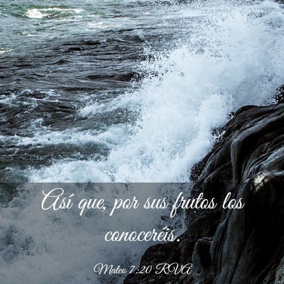 Picture 03 - Mateo 7:20 RVA - Así que, por sus frutos los - Bible Verse Picture