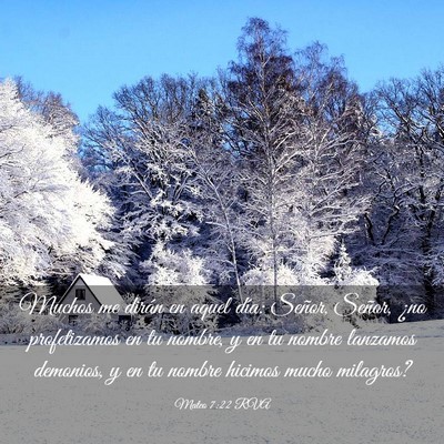 Picture 03 - Mateo 7:22 RVA - Muchos me dirán en aquel día: Señor, Señor, - Bible Verse Picture