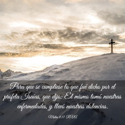 Picture 03 - Mateo 8:17 RVA - Para que se cumpliese lo que fué dicho por el - Bible Verse Picture