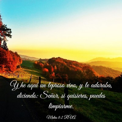 Picture 03 - Mateo 8:2 RVA - Y he aquí un leproso vino, y le adoraba, - Bible Verse Picture
