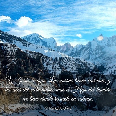 Picture 03 - Mateo 8:20 RVA - Y Jesús le dijo: Las zorras tienen cavernas, y - Bible Verse Picture