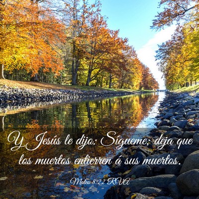 Picture 03 - Mateo 8:22 RVA - Y Jesús le dijo: Sígueme; deja que los muertos - Bible Verse Picture