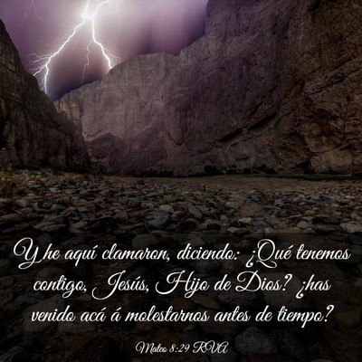 Picture 03 - Mateo 8:29 RVA - Y he aquí clamaron, diciendo: ¿Qué tenemos - Bible Verse Picture
