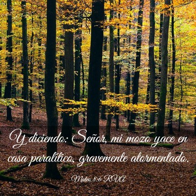 Picture 03 - Mateo 8:6 RVA - Y diciendo: Señor, mi mozo yace en casa - Bible Verse Picture