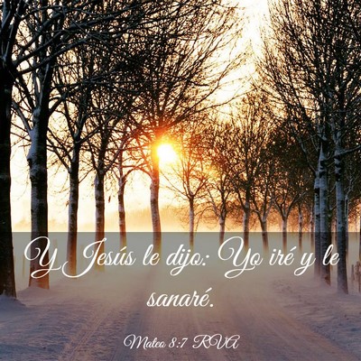 Picture 03 - Mateo 8:7 RVA - Y Jesús le dijo: Yo iré y le - Bible Verse Picture