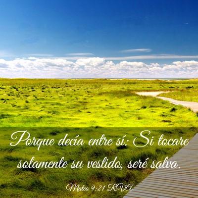 Picture 03 - Mateo 9:21 RVA - Porque decía entre sí: Si tocare solamente su - Bible Verse Picture