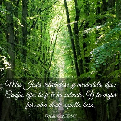 Picture 03 - Mateo 9:22 RVA - Mas Jesús volviéndose, y mirándola, dijo: - Bible Verse Picture