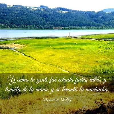 Picture 03 - Mateo 9:25 RVA - Y como la gente fué echada fuera, entró, y - Bible Verse Picture
