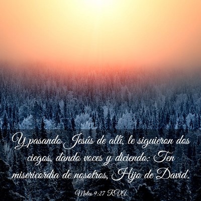 Picture 03 - Mateo 9:27 RVA - Y pasando Jesús de allí, le siguieron dos - Bible Verse Picture