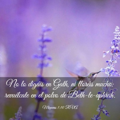 Picture 03 - Miqueas 1:10 RVA - No lo digáis en Gath, ni lloréis mucho: - Bible Verse Picture