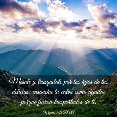 Picture 03 - Miqueas 1:16 RVA - Mésate y trasquílate por los hijos de tus - Bible Verse Picture