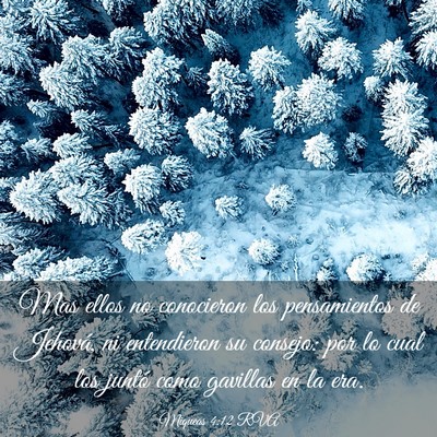 Picture 03 - Miqueas 4:12 RVA - Mas ellos no conocieron los pensamientos de - Bible Verse Picture