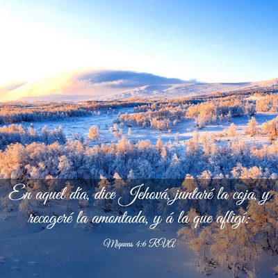 Picture 03 - Miqueas 4:6 RVA - En aquel día, dice Jehová, juntaré la coja, y - Bible Verse Picture