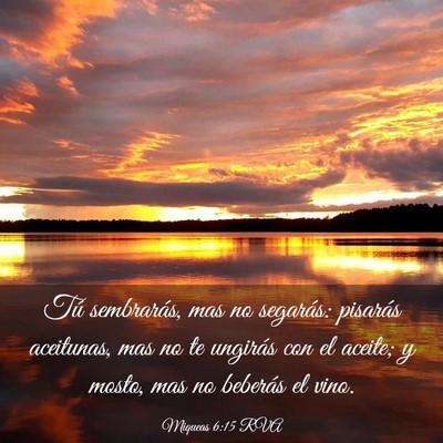Picture 03 - Miqueas 6:15 RVA - Tú sembrarás, mas no segarás: pisarás - Bible Verse Picture